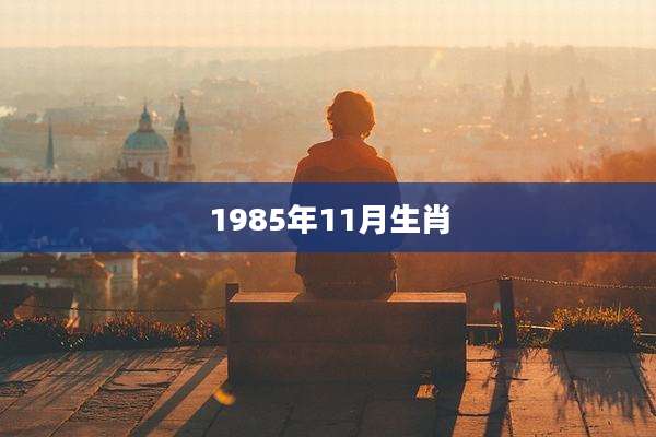 1985年11月生肖