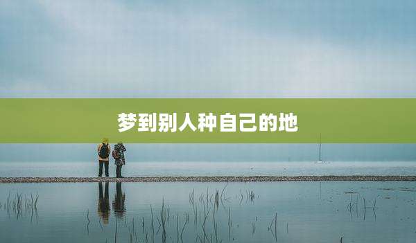 梦到别人种自己的地
