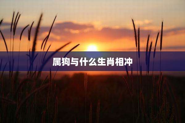 属狗与什么生肖相冲