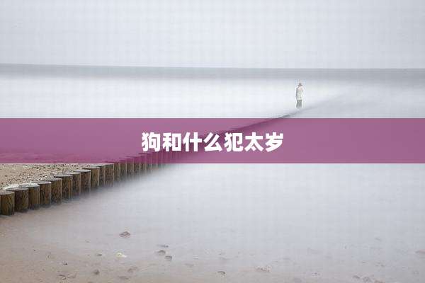 狗和什么犯太岁