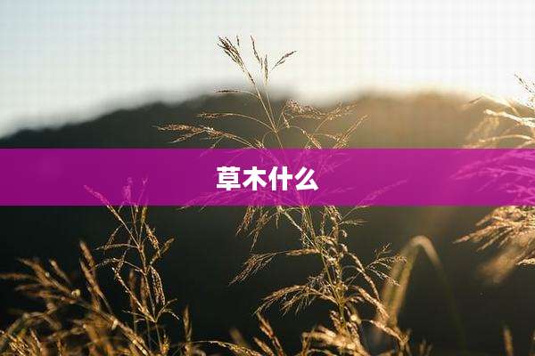 草木什么