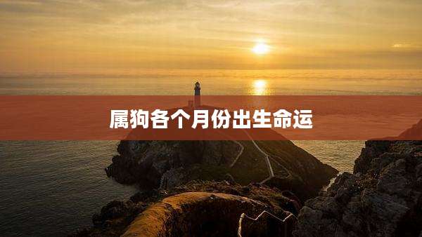 属狗各个月份出生命运