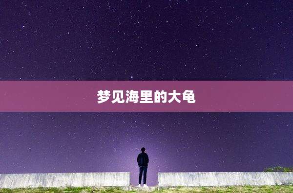 梦见海里的大龟