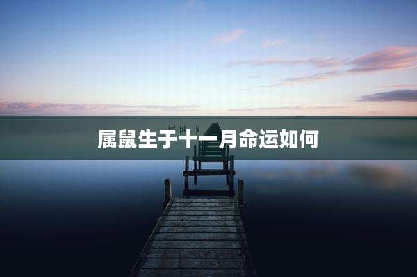 属鼠生于十一月命运如何
