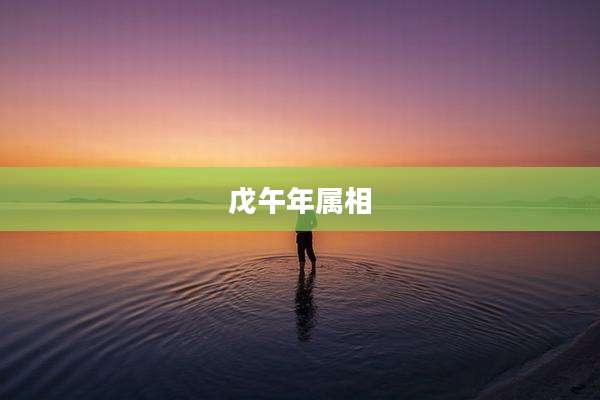 戊午年属相