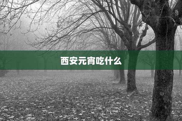 西安元宵吃什么