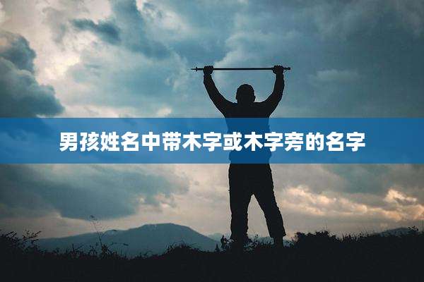 男孩姓名中带木字或木字旁的名字