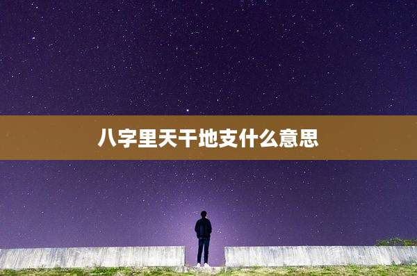 八字里天干地支什么意思