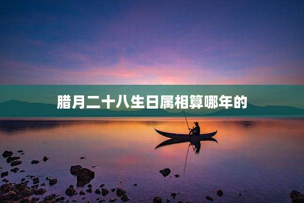 腊月二十八生日属相算哪年的