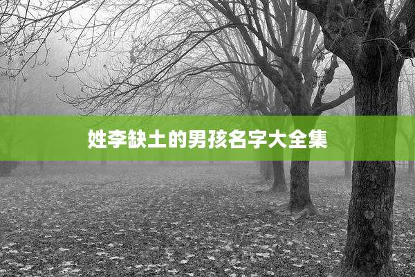 姓李缺土的男孩名字大全集
