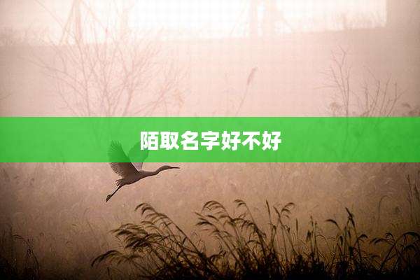 陌取名字好不好