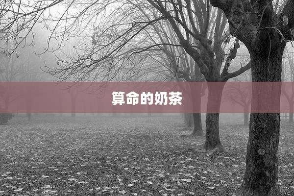 算命的奶茶