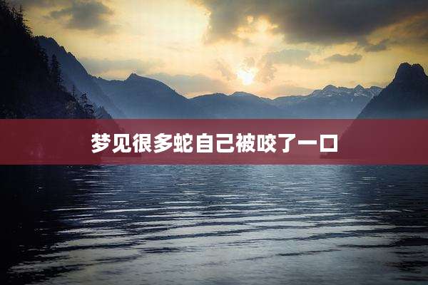 梦见很多蛇自己被咬了一口