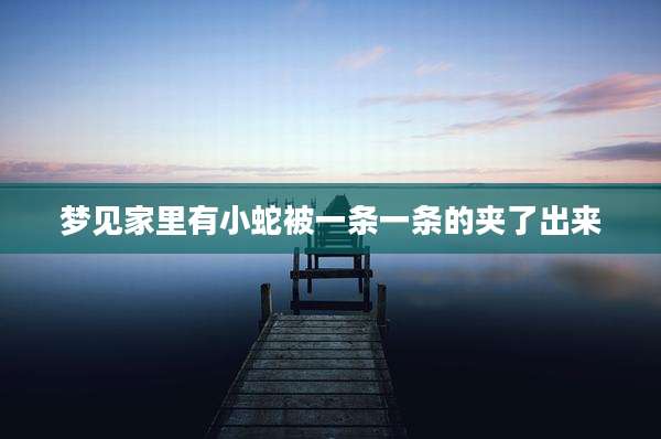 梦见家里有小蛇被一条一条的夹了出来