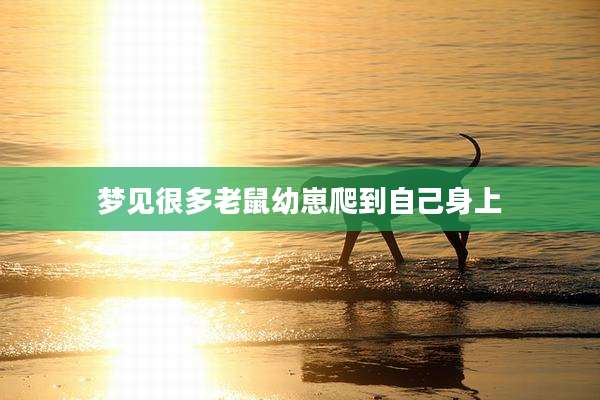 梦见很多老鼠幼崽爬到自己身上