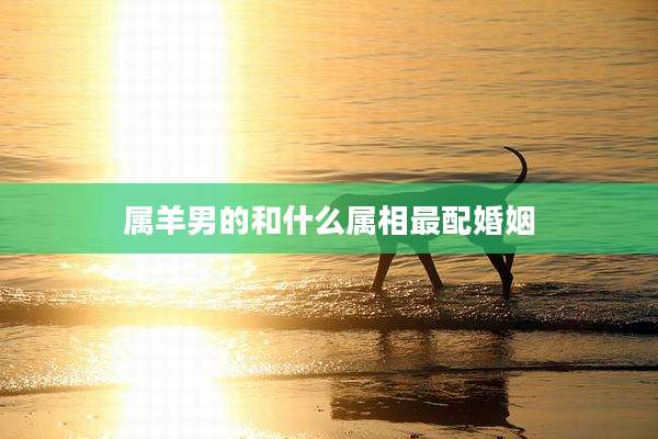 属羊男的和什么属相最配婚姻