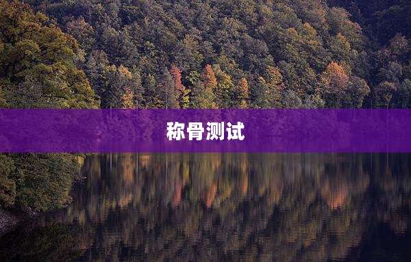 称骨测试