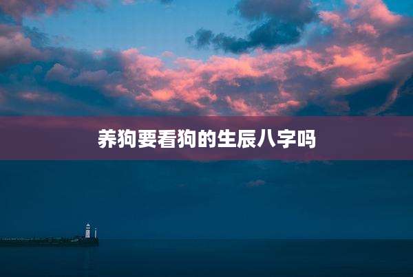 养狗要看狗的生辰八字吗