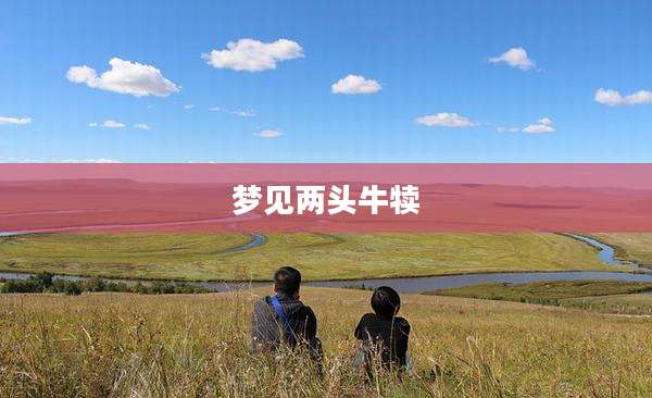 梦见两头牛犊