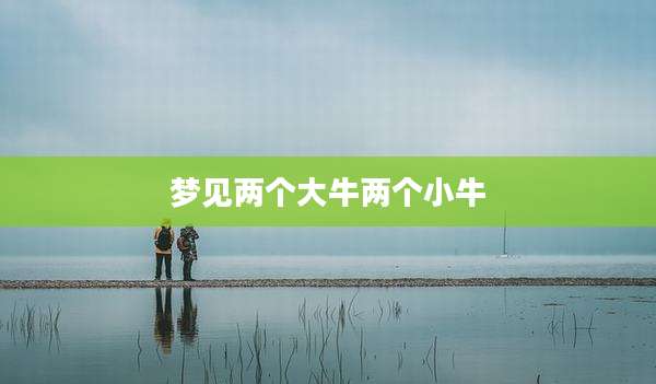 梦见两个大牛两个小牛