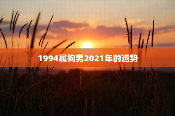 1994属狗男2021年的运势