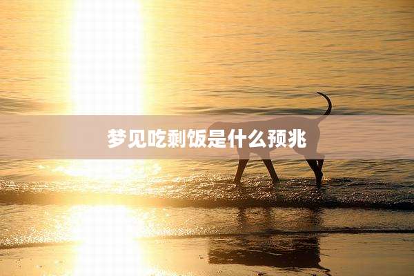 梦见吃剩饭是什么预兆