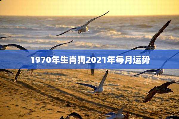 1970年生肖狗2021年每月运势