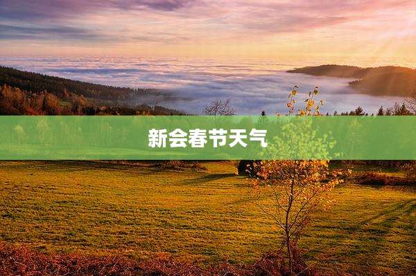 新会春节天气