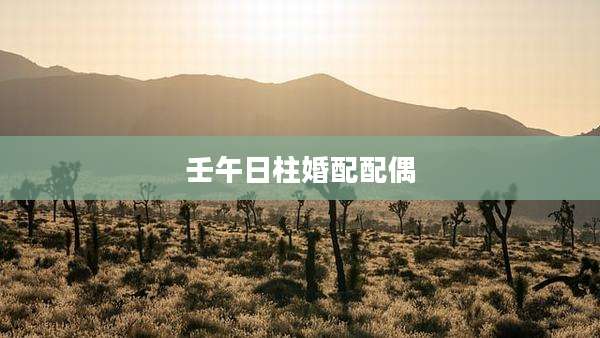 壬午日柱婚配配偶
