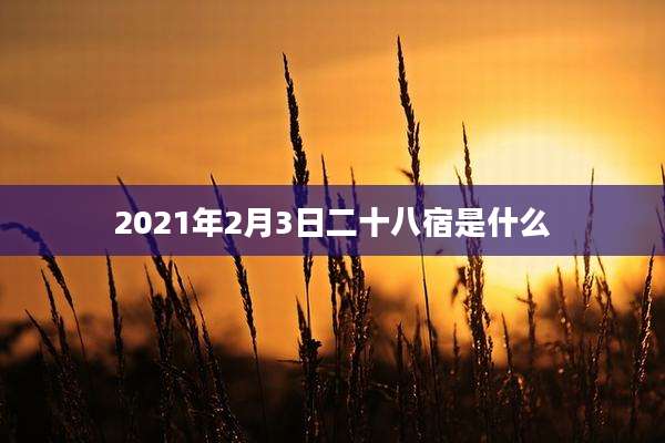 2021年2月3日二十八宿是什么