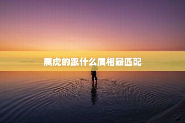 属虎的跟什么属相最匹配