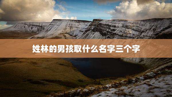 姓林的男孩取什么名字三个字