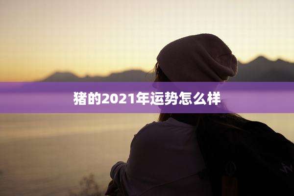 猪的2021年运势怎么样