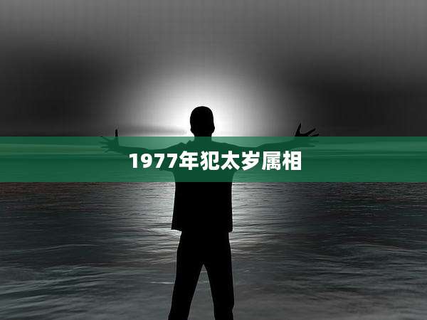 1977年犯太岁属相