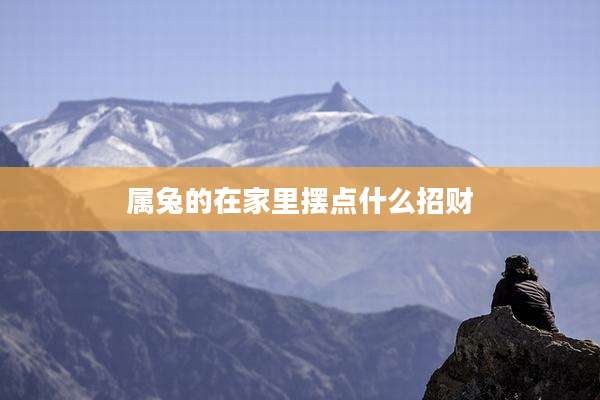 属兔的在家里摆点什么招财