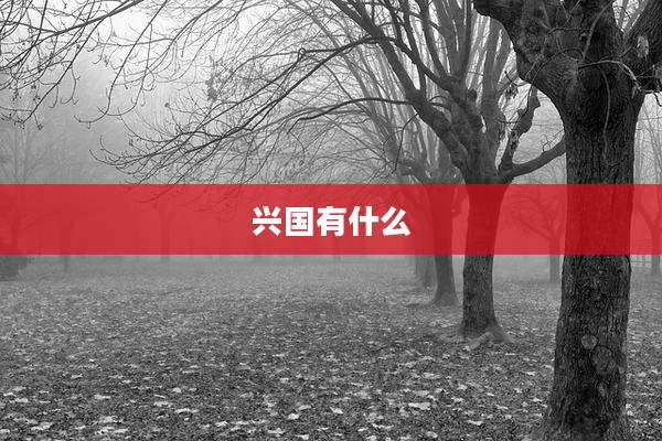 兴国有什么