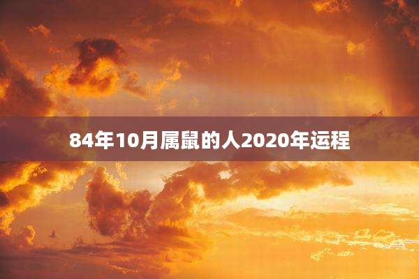 84年10月属鼠的人2020年运程