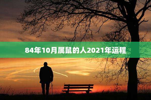 84年10月属鼠的人2021年运程