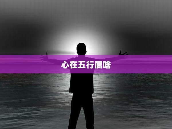 心在五行属啥