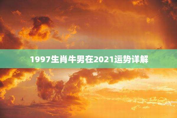 1997生肖牛男在2021运势详解