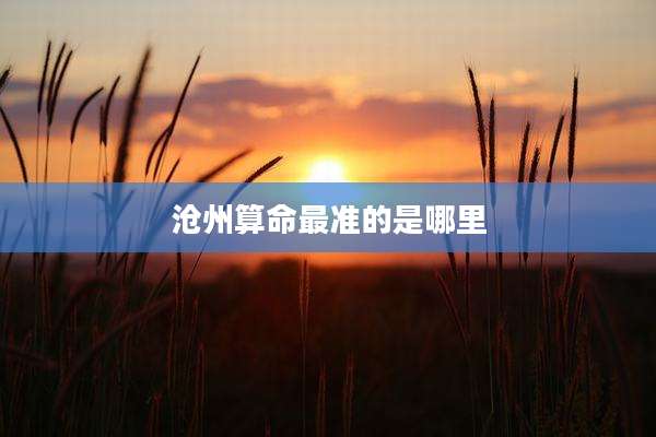 沧州算命最准的是哪里