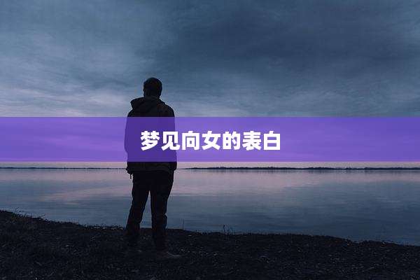 梦见向女的表白