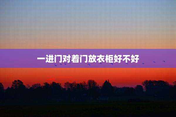一进门对着门放衣柜好不好