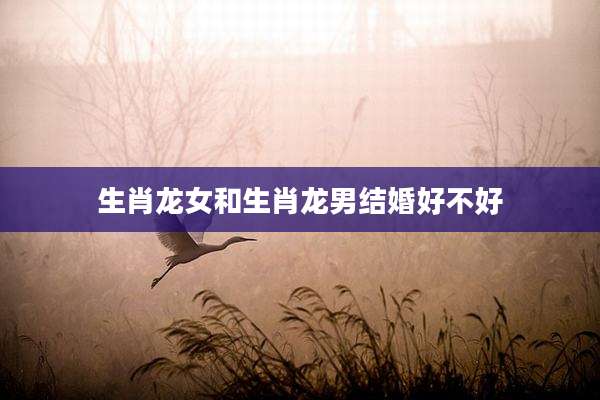 生肖龙女和生肖龙男结婚好不好