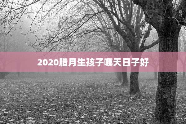 2020腊月生孩子哪天日子好