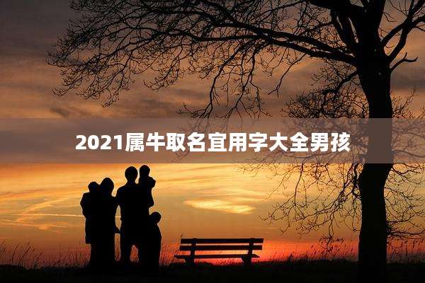 2021属牛取名宜用字大全男孩
