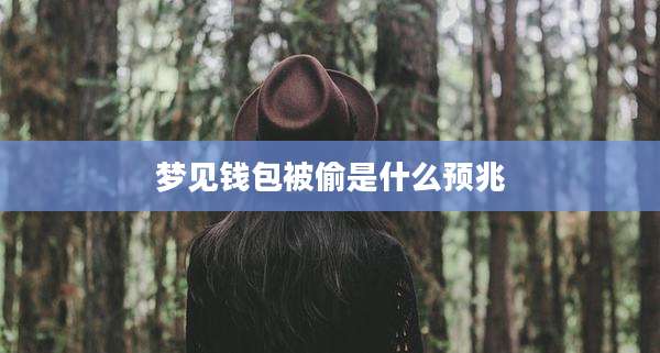 梦见钱包被偷是什么预兆