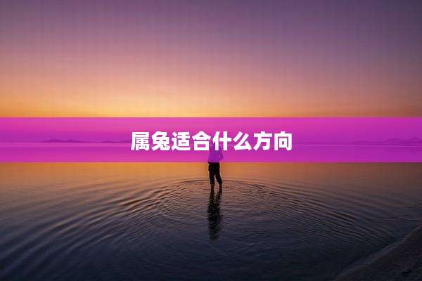 属兔适合什么方向