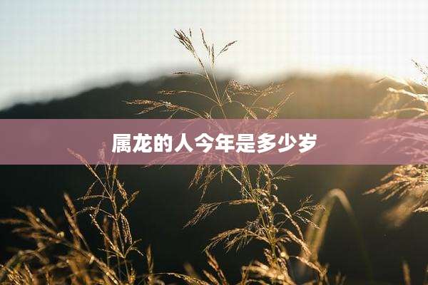 属龙的人今年是多少岁
