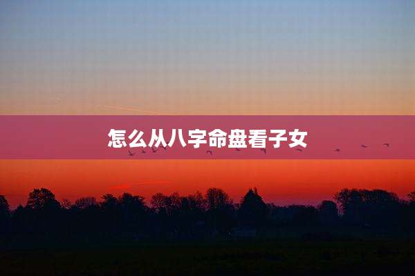 怎么从八字命盘看子女